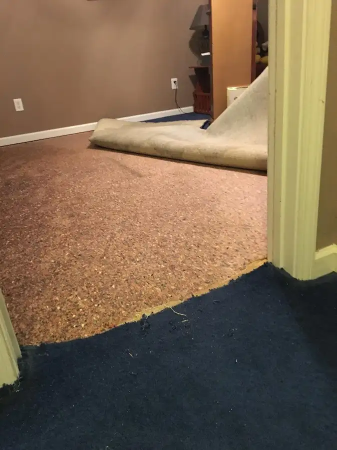 Carpet pad removal revealing water damage during Drying & Dehumidification in Prosper