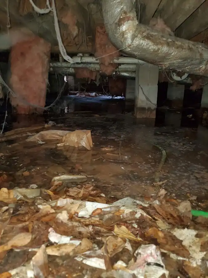 Crawl space flood assessment for Leak Detection & Repair in Prosper
